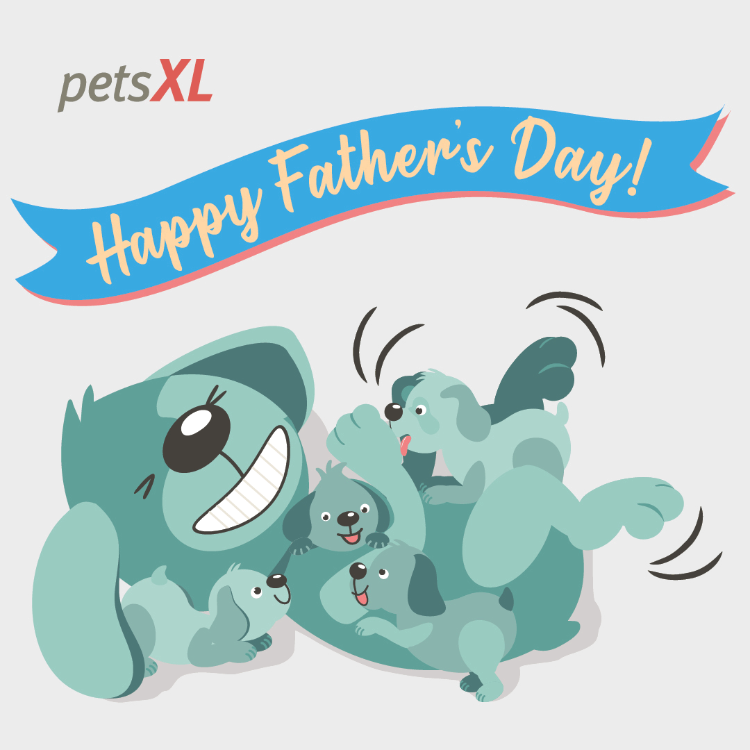 Dog Laughing GIF by petsXL Find & Share on GIPHY