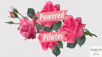 Pilates GIF