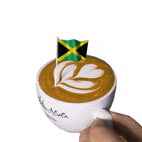 Coffee Time Jamaica GIF by Dritan Alsela Coffee