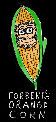 Corn GIF by Todd Rocheford