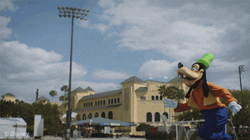 world cup soccer GIF by Disney Parks