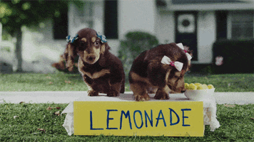 Lemon Juice Dog GIF