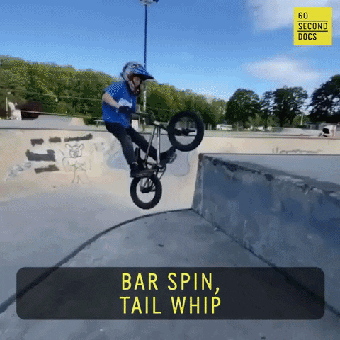 Tail Whip Bar Spin GIF by 60 Second Docs