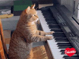 Delectables Cat Treats GIF