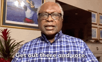 Election Day Midterms GIF by GIPHY News