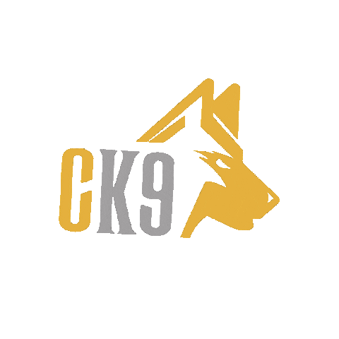 Chaperone K9 Sticker