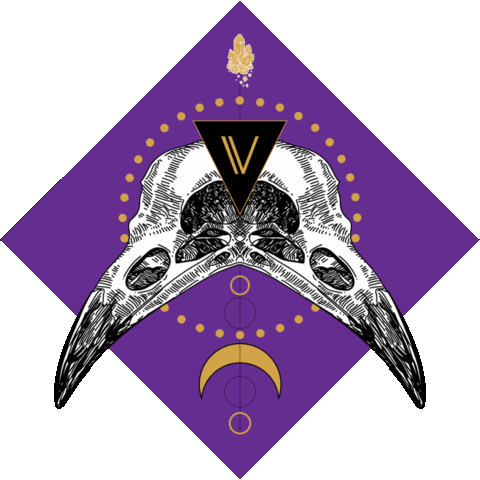 Bird Colors Sticker by Virtue Las Vegas