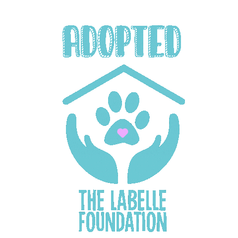 Sticker by LabelleFoundation