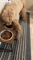 200.gif?cid=fc005b08570b2e0f73e5e53e3856d44d222285b07e6320b4&rid=200.gif&ct=g