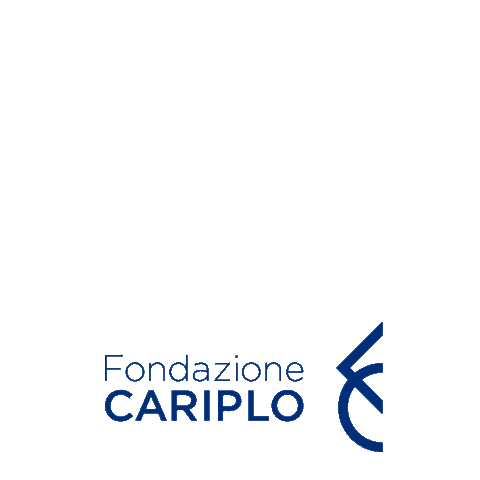 Foundations Organizations Sticker by Fondazione Cariplo
