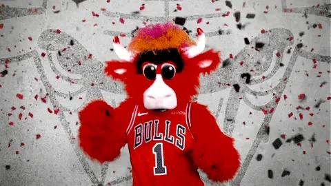 Happy Benny The Bull GIF by Chicago Bulls