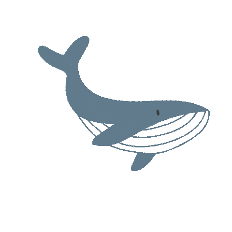 Ocean Sea Sticker by MORI