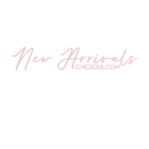 Chic Soul Sticker