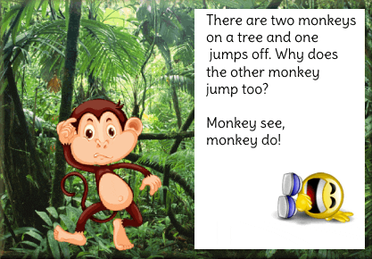 two monkeys Memes & GIFs - Imgflip