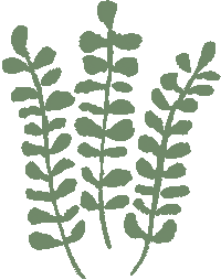 Flower 花 Sticker
