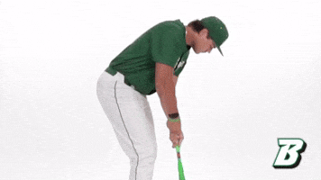 Bubearcats GIF by Binghamton Athletics