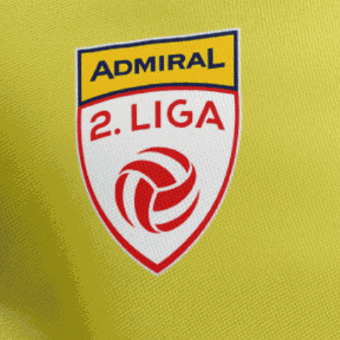 Steiermark Zweite Liga GIF by ADMIRAL