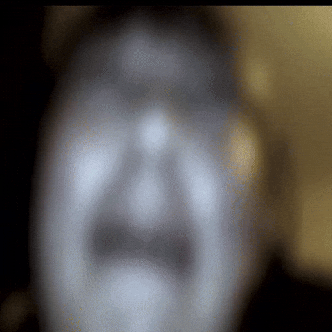 Meme GIF