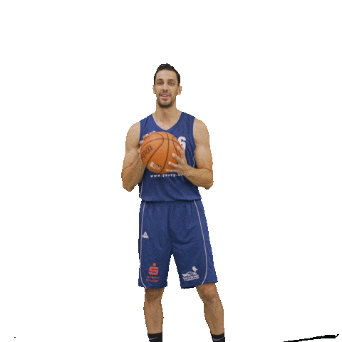 Bensheim Sticker by VfL Basketball