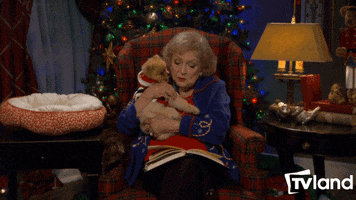 tv shows christmas GIF by TV Land Classic