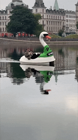 Go Morgen P3 GIF