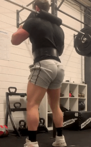giphy.gif