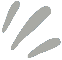 Lines Drop Sticker by Moon Cases MX