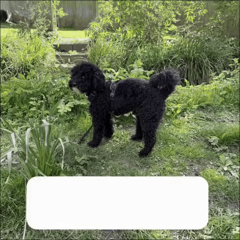 Jira GIF