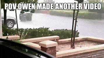 Reaction GIF