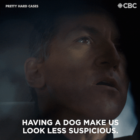 Suspicious Hide GIF by CBC