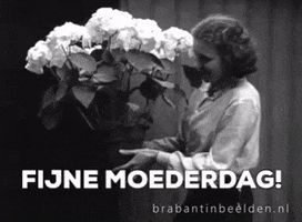 Mothers Day Flowers GIF by BrabantinBeelden