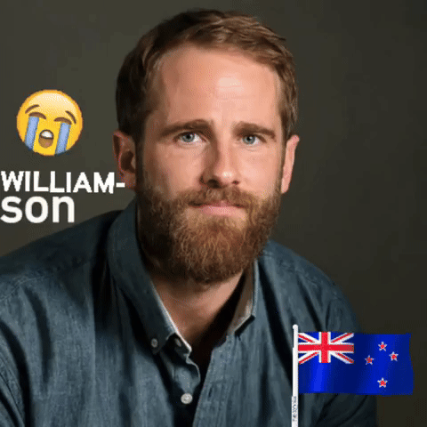 Cricket GIF