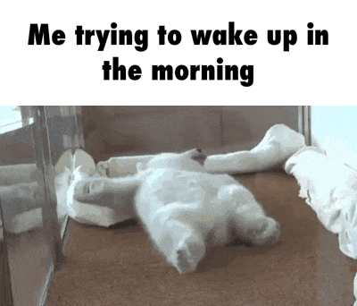 giphy-downsized-large.gif