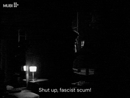 Black And White Cinema GIF by MUBI
