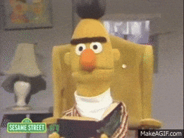bert puppet sesame street