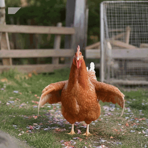 Worldstorytellingday GIF by SAP