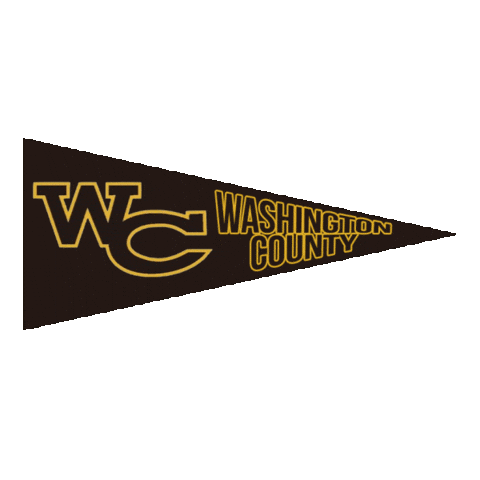Flag Football Ghsa Sticker by GPB Sports
