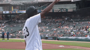 Comerica Park Basketball GIF by Detroit Pistons