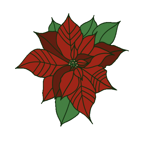 Christmas Flower Sticker