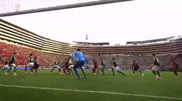 Libertadores Danilo GIF