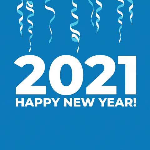 Celebrate New Year GIF by Hanseatic Help