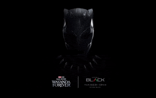 Black Panther Wakanda Forever GIF by Actively Black