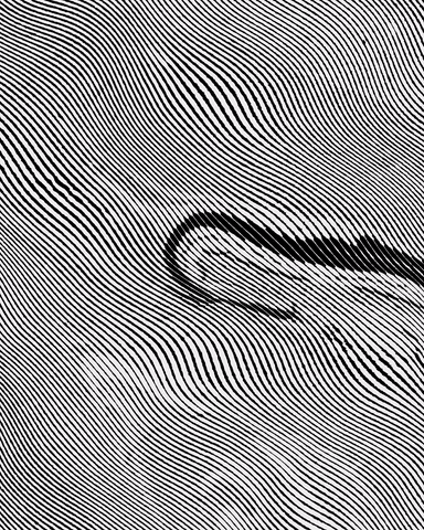 moving black and white GIF by Sadmonstelina