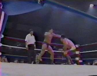 Wwe GIF