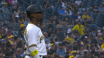 Major League Baseball What GIF by Pittsburgh Pirates