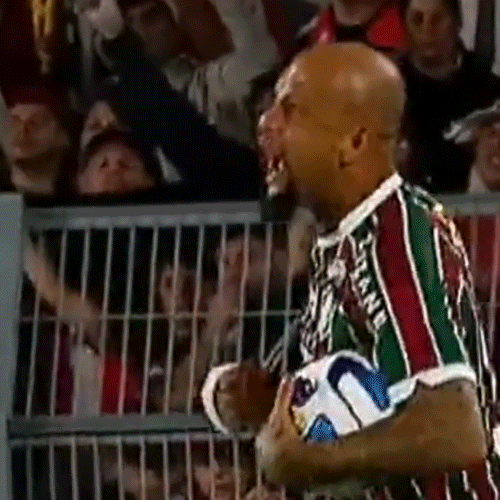 Fluminense Felipemelo Pitbull Flu Timedeguerreiros Fluzao Fluzão GIF by Fluminense Football Club