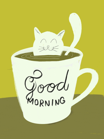 Good-morning-cats GIFs - Find & Share on GIPHY