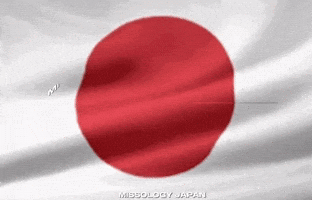Miss Cosmo International GIF