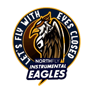 Night Fly Sticker by northfly