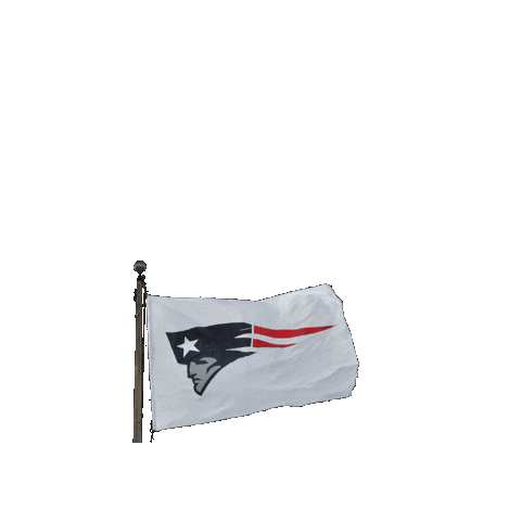 Football Sport Sticker by New England Patriots